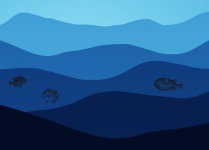 Ocean Illustration