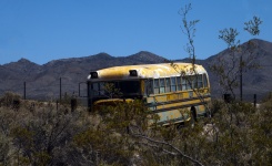 Autobus scolaire grunge
