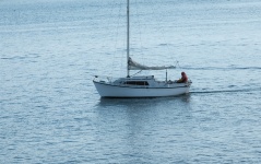Sailor On His Sailboat