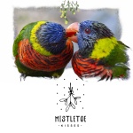 Mistletoe Birds