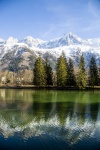 Munții Chamonix, Alpi