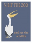 Pelican Visit Zoo Poster