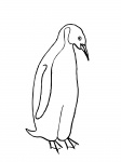 Pinguin-Zeichnung