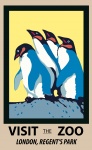 Pinguin-Zoo-Plakat