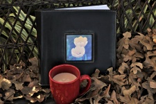 Photo Album And Cup In Leaves