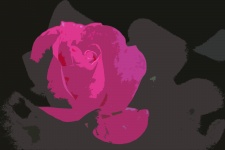 Rózsaszín rügy rügy kivágás kép