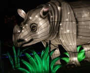 Rhino Lantern