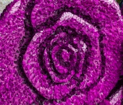 Róża wykonana z płatków róży