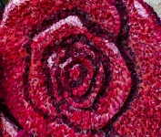 Róża wykonana z płatków róży