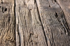 Textura lemnului grosier
