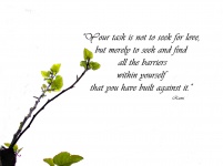 Citation de Rumi avec branche de figue