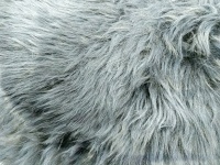 Sheepskin rug texture