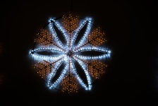 Snowflake In Light
