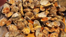 Steamed Clams in Sauce