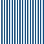 Stripes Blue White Vertical