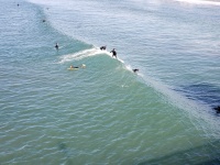 Surfers on a Wave