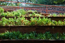 Terrasvormige muren met plantenbedden