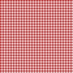 Checkered tablecloth vintage fabric