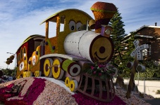 Train Made Of Flowers