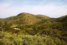 Vegetation Covered Hills