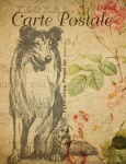 Postal floral francesa vintage