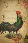 Vintage francouzský kohout pohlednice