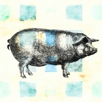 Dibujo de cerdo vintage