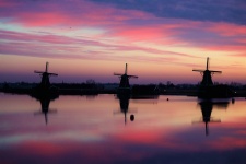 Molinos de viento al amanecer en Holanda