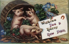 Je vous souhaite une bonne année Cochons