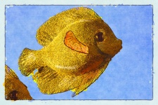 Gele vis van bloemen