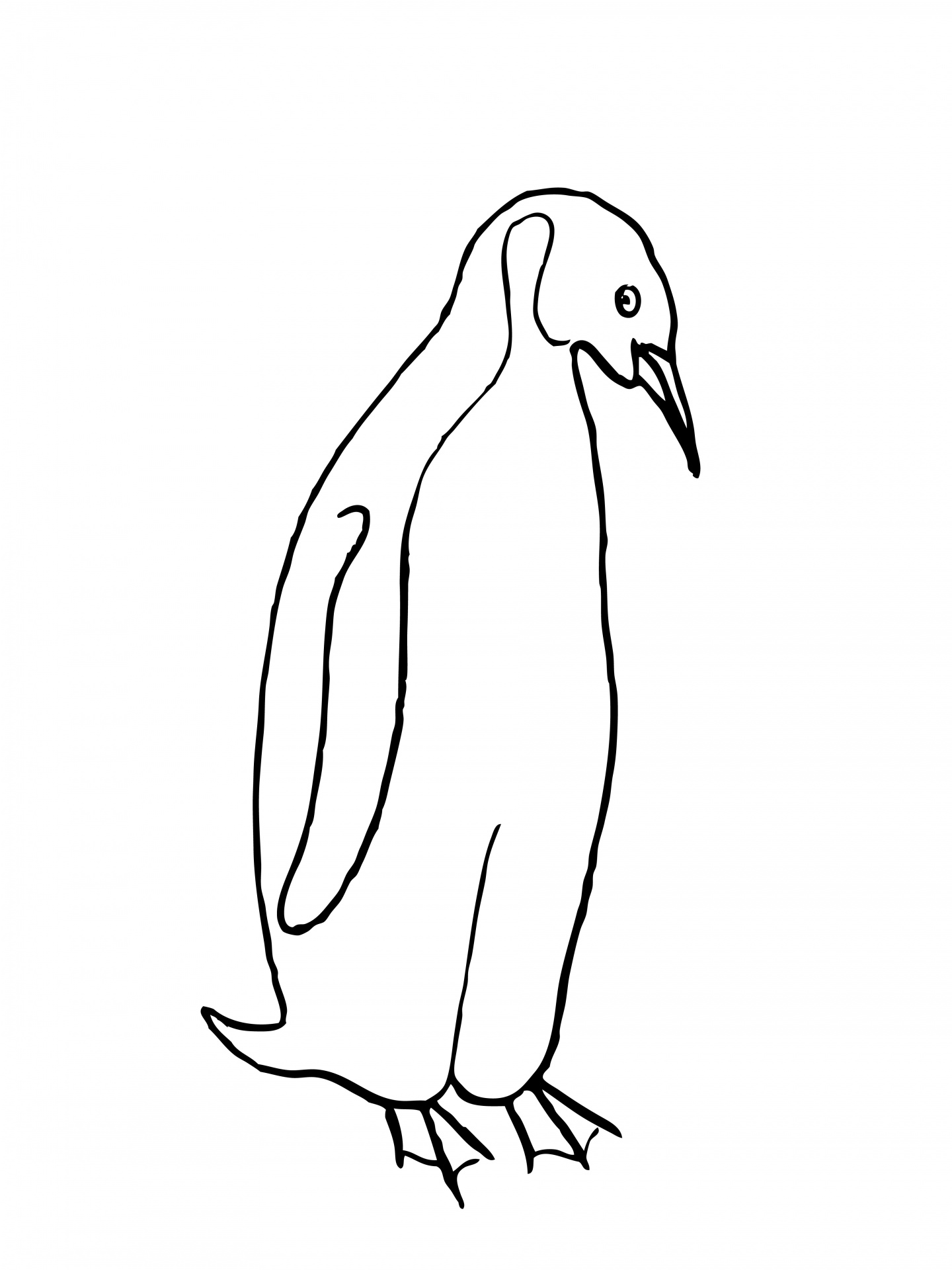 Penguin Drawing