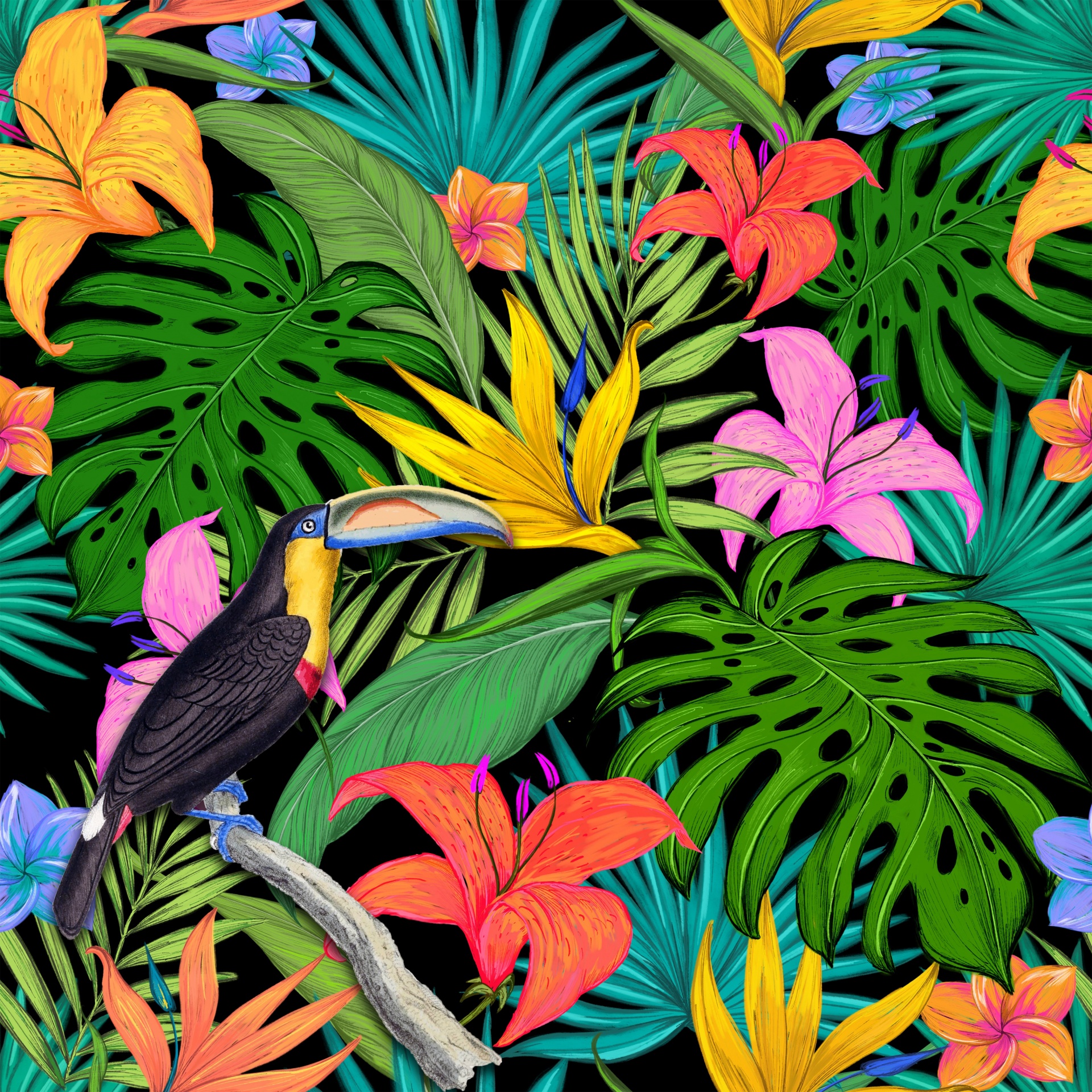 Toucan Tropical Leaves Background