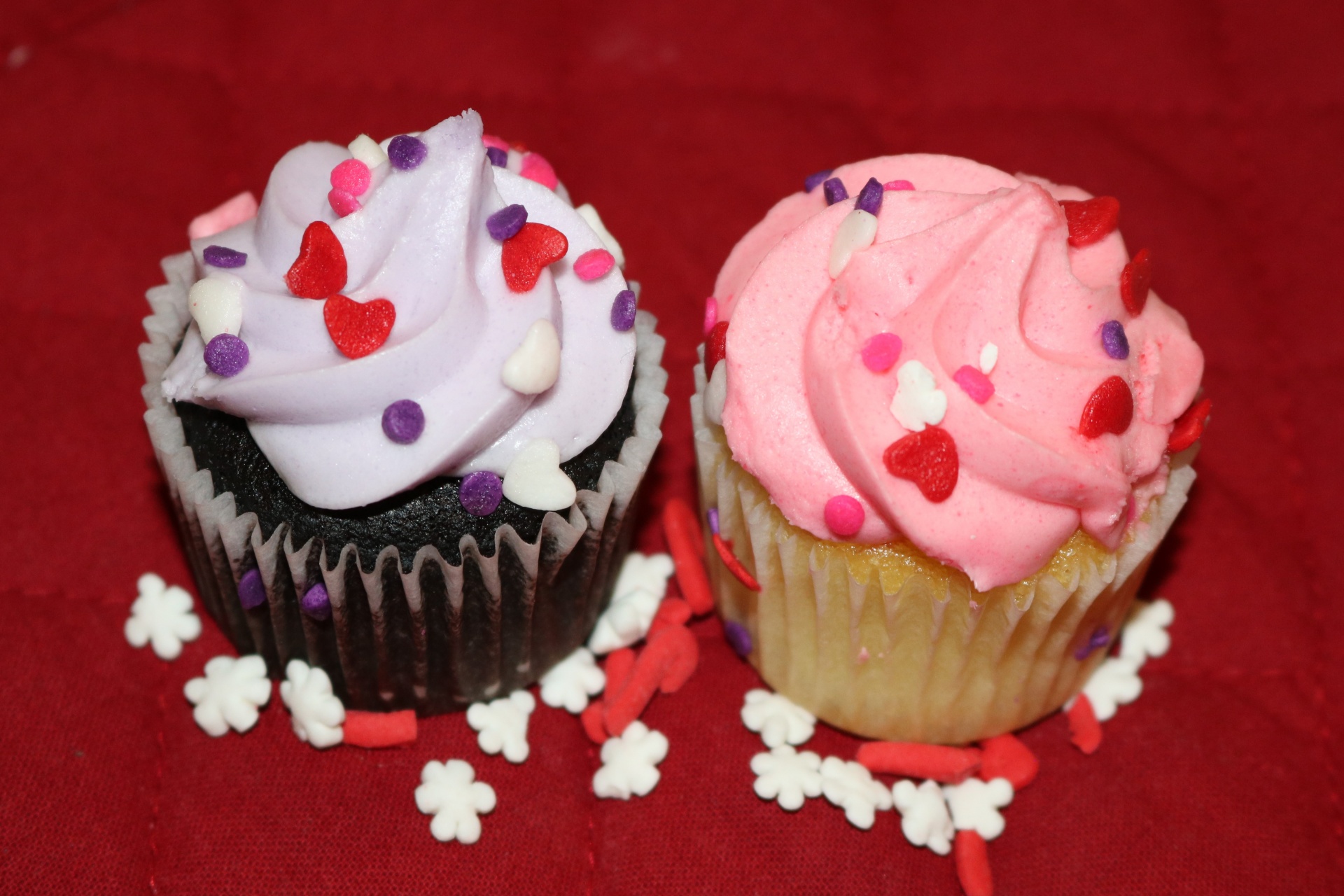 Two Cupcakes On Red Close-up Free Stock Photo - Public Domain Pictures