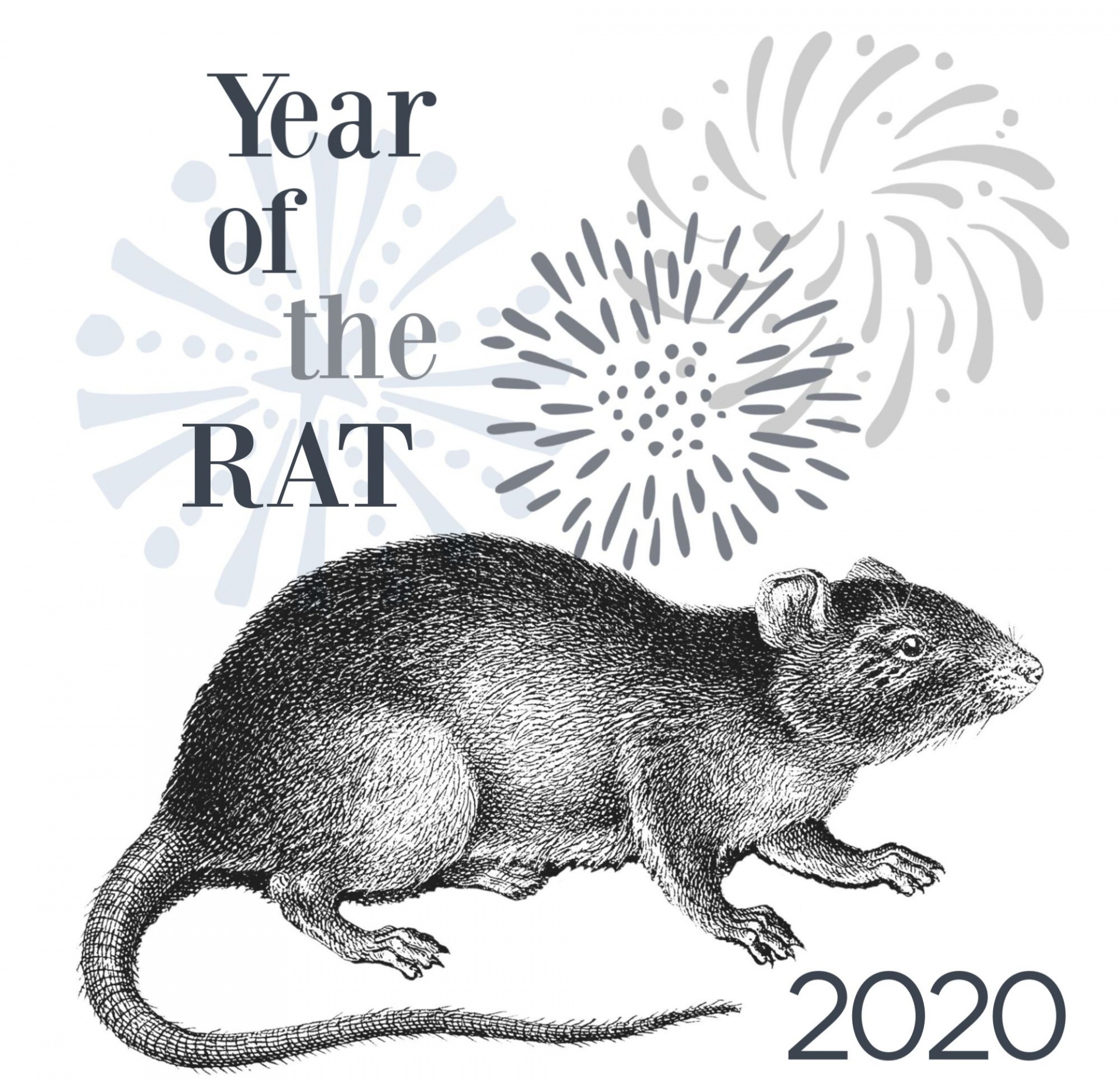År för råtta 2020