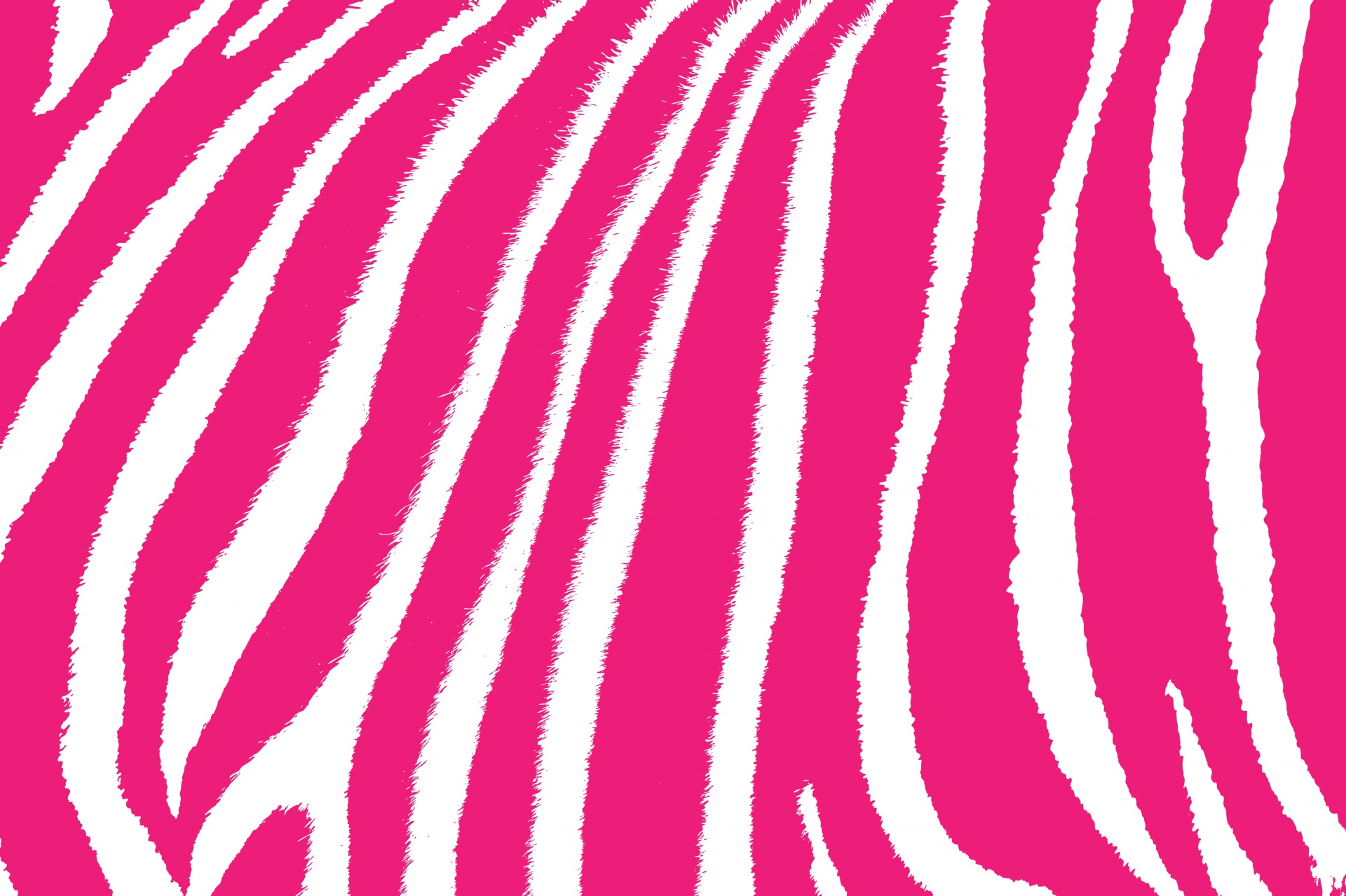 Zebra Skin Stripes Pattern Free Stock Photo - Public Domain Pictures