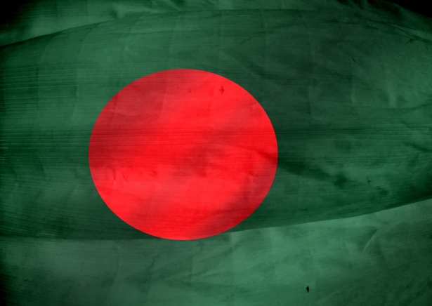 Bangladesh Flag Themes Idea Design Free Stock Photo - Public Domain ...