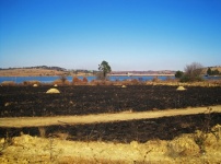 áreas de grama queimada na barragem