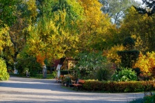 Giardino Botanico di Bydgoszcz