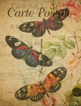 Schmetterlinge Vintage Postkarte