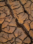 Crack Soil Dry