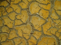 Сухая трещина почвы