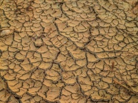 Crack půdy suché