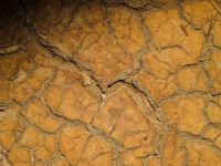 Crack půdy suché