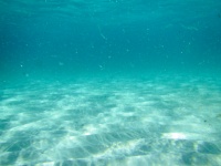 Piszkos tengervíz