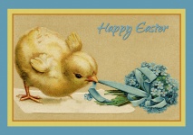 Pasen Chick Vintage Card