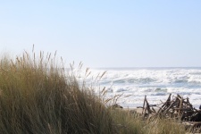 Loma cubierta de hierba en la playa