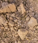 Suolo di pietra di superficie con textur