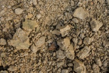 Ground textured surface stone soil