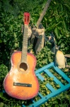 Guitare dans un jardin