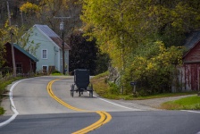 Amish Buggy na estrada